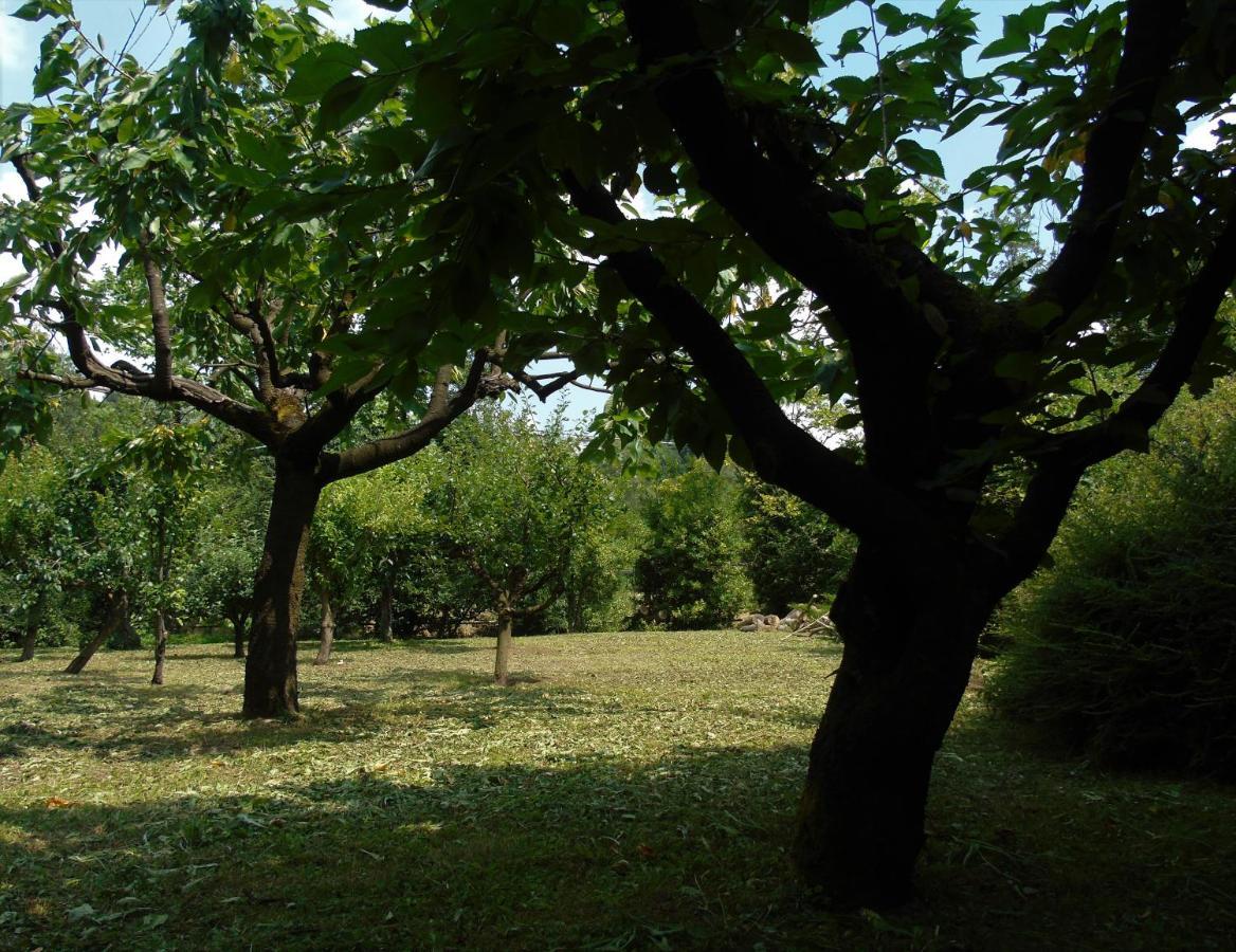 Вілла Cascina Cavalli Astino Бергамо Екстер'єр фото